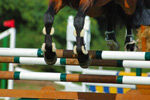 Springsport